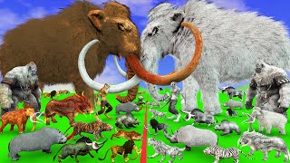 Prehistoric Mammals VS White Albino Mammals Size Animal Epic Battle White Mammoth vs Woolly Mamoth [upl. by Ayyidas564]