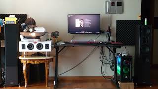 Magnat Signature 507 floor standing speakers sound demo Celine dionThe Power Of Love [upl. by Anattar622]