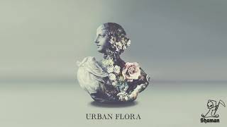 Alina Baraz amp Galimatias  Can I [upl. by Druce]