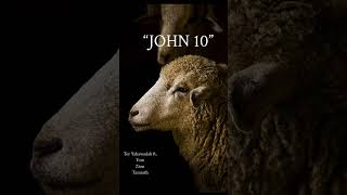 John 10 ft Yom FilmedFromZion Tazarath [upl. by Kuth45]