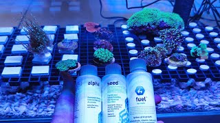 🐟3 Productos OBLIGTAORIOS en un ACUARIO MARINO  Fuel  Seed y Alpha de AQUAVITROA [upl. by Huesman]