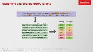 Simplified Online Tools for CRISPR Cas9 Gene Editing Design and Confirmation [upl. by Eldin]