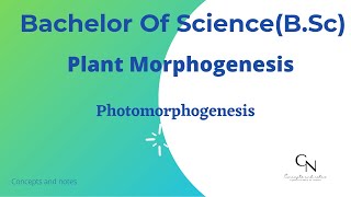 Photomorphogenesis  Phytochrome  Cryptochrome  Plant morphogenesis  For BSc students [upl. by Htnicayh555]