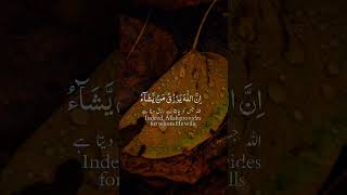 Tlawat Quran Hafiz Hassan 🌹 duet love islamicprayer [upl. by Ahsienod]