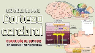 CAP 58 15 Corteza cerebral y áreas de asociación [upl. by Gwendolyn]