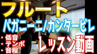 【フルート】パガニーニカンタービレ、低音、テンポ、音程【レッスン動画】 [upl. by Packton156]