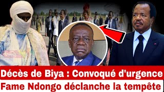 SCANDALE  Décès de Biya la tête du sénat convoqué durgence Fame Ndongo aucun doute permis [upl. by Noillimaxam902]