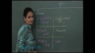 Stem And Leaf  Structural Morphology of Flowering plants  CBSE Class 11 Biology Lecture 04 [upl. by Ihtac]