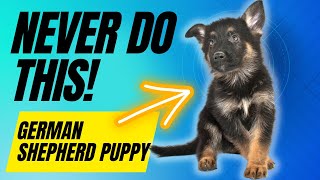 6 Things You Must Never Do With Your German Shepherd Puppy [upl. by Rand]