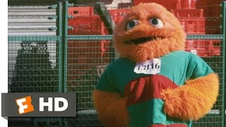 Four Lions 1111 Movie CLIP  Is a Wookie a Bear 2010 HD [upl. by Stonwin249]