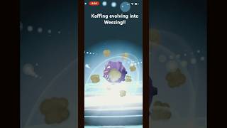 Koffing Evolves to ⁉️pokemon koffing weezing gopokemongoo [upl. by Uphemia]