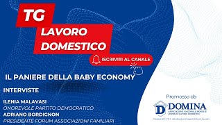 Tg Lavoro Domestico  Baby Economy [upl. by Ynar]