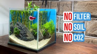 🎋 Building a Lucky Bamboo Aquarium  Betta Fish Tank Setup 🐠☘️ [upl. by Adnalohs]