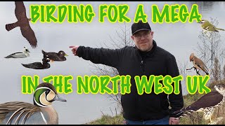 BIRDING FOR A MEGA RARE BIRD IN THE NORTH WEST UK [upl. by Bronwen]