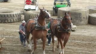 HORSE PULL  Westmoreland County Fair [upl. by Sirron]