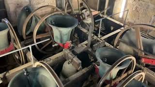 Bell Ringing in the Belfry at Sherborne Abbey [upl. by Aro]