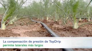 Línea de riego por goteo de presión autocompensada y antisifón TotDrip por NaanDanJain [upl. by Idnew]