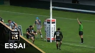 TOP 14  Essai de PENALITE MHR  Toulouse  Montpellier  J21  Saison 20172018 [upl. by Skurnik]