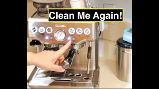 Clean Me Again   Breville Barista Express [upl. by Mehcanem]