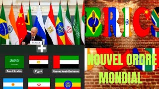 quel est lavenir des pays BRICS dans le monde [upl. by Pinelli712]