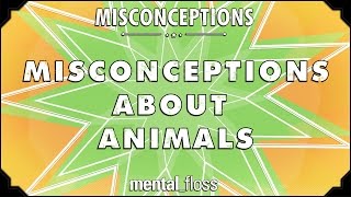 Misconceptions about Animals  mentalfloss on YouTube Ep 55 [upl. by Storer]