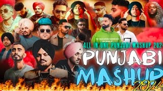 Punjabi songs  all in one punjabi mashup 2024  mega punjabi mashup 2024  latest 2024 mashup [upl. by Puklich]