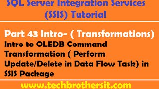 SSIS Tutorial Part 45Update Records in a Table by using OLE DB Command Transformation [upl. by Penelopa]