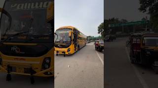 Paliwal travels SUPERFAST express bus service 🚌🚌automobile jakhartravels travel travels bus [upl. by Akanke]