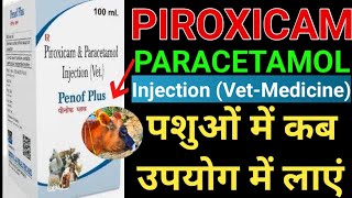 Piroxicam Paracetamol Injection Veterinary MedicinePiroxicam पेरासिटामोल इंजेक्शनUse RouteDose [upl. by Anatsirhc]