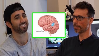 What Is Consciousness Neuroscientist Explains  DEEP LEARNING Ep5 [upl. by Nisse]