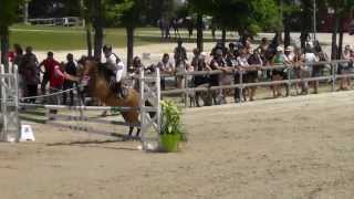 Champion CSO Poney 1 D Minime 1 et  Valentin GOURMAUX [upl. by Yniffit774]