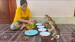 4 Siblings Sit Very Patiently Waiting Mom To Clean Fruity Dessert Treat For Them To Eat [upl. by Nahk348]