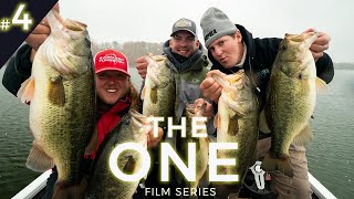 GIGANTIC School of Snow Bass  The One Presented by Blackfish Gear [upl. by Wulf463]