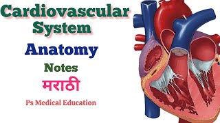 CARDIOVASCULAR SYSTEM  ANATOMY AND PHYSIOLOGY  GNM 1st YEAR  GNM NURSING CLASSES IN MARATHI [upl. by Kaufmann]