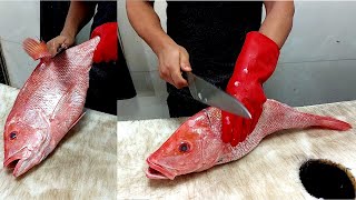 red snapper fish cutting amp fillet  Easy and Fast  Incredible Skills [upl. by Sdlonyer839]