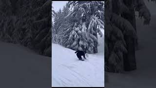 Collecting SkiersSnowboarders 371000🏂⛷️ski skiheaven skiing snowboarding viralvideo [upl. by Assiar]