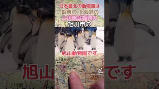 What is the northernmost zoo in Japan 日本最北の動物園はどこですか？japan patrickinjapan 日本 日本地図 北海道 蝦夷 [upl. by Arfihs]