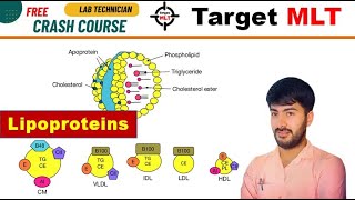 48 Lipoproteins HDL LDL VLDL chylomicron biochemistry AIIMS PGIMER DSSSB RML 2024 [upl. by Caia]