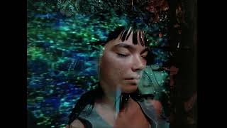 Björk  Hyperballad  Official 4K Music Video Radio Edit [upl. by Fionnula]