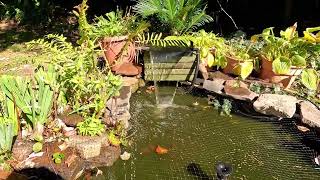 Very Impressive Test Of The POPOSOAP Pond Waterfall With Pump Kit  You Will Love it [upl. by Wobniar]