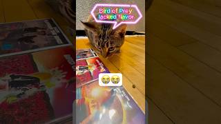 LETTING MY CAT PICK HER FAVORITE ALBUMS [upl. by Yekram]