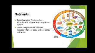 Nutrition in plants class 7th [upl. by Annahgiel]