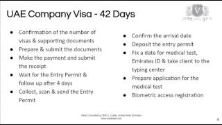 UAE Company Visas  Processing Your Application So You Don’t Waste Your Time [upl. by Sherm]