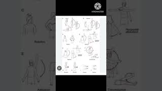 Monoplegia paralysis exercise [upl. by Aseen]