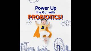 Bifidobacterium lactis  Helps maintain a Healthy Digestive System  40s [upl. by Jerrol]