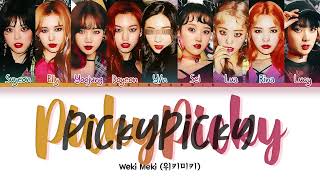 Weki Meki 위키미키 Picky Picky  9 members You as member Color Coded Lyrics [upl. by Edobalo]