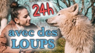 24H AVEC DES ANIMAUX ACTEURS [upl. by Erdied]