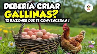 12 Razones por la que criar gallinas ponedoras es una excelente idea 🐔🥚 [upl. by Talanta]