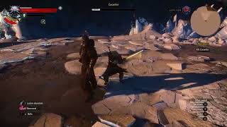 Witcher 3 Geralt vs Caranthir Bug [upl. by Raseta]