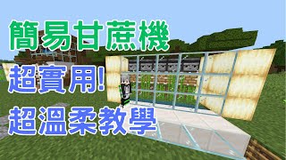 【Minecraft基岩版】簡易甘蔗機  自動蒐集  手把手教學，一定學得會 [upl. by Tippets]